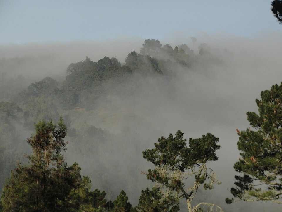 Berkeley Hills - panoramio.jpg