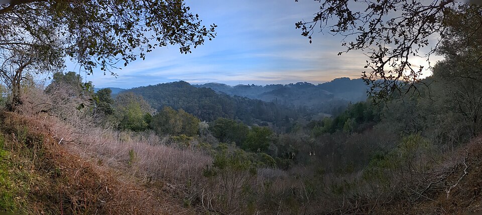 Tilden Regional Park 6.jpg