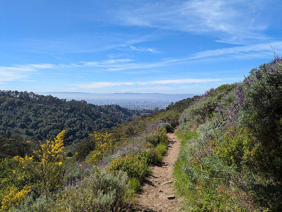 Hiking towards Berkeley.jpg