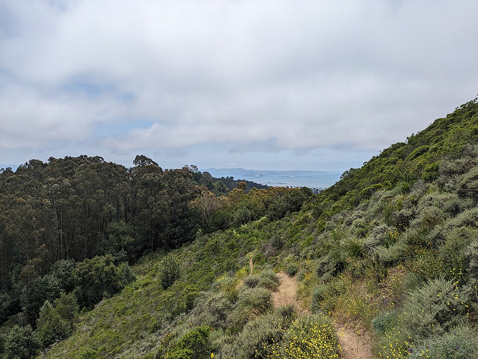 Side Hill Trail.jpg