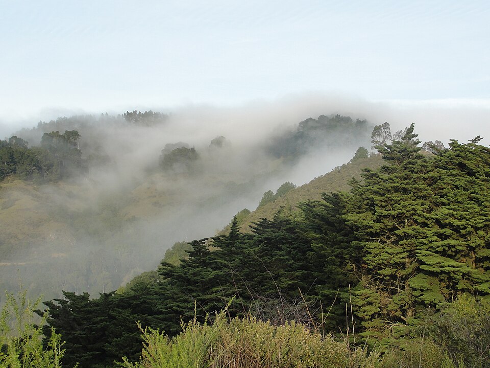 View of Claremont Canyon Regional Reserve, Berkeley, CA - panoramio.jpg
