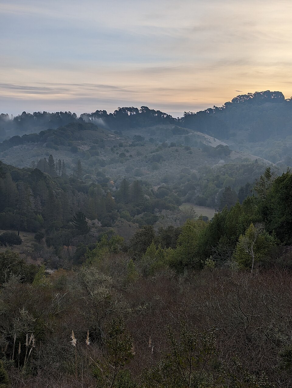 Tilden Regional Park 3.jpg